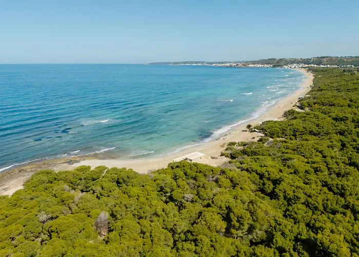 Colli * גאליפולי